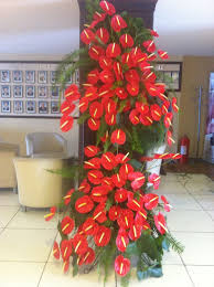 anthuriums on a stand