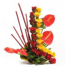 24 red yellow in a line with 4 anthurium basket