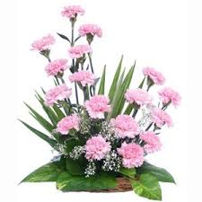 15 pink carnation basket