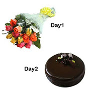 Day-1 12 mix roses Day-2 1/2 kg Chocolate Cake