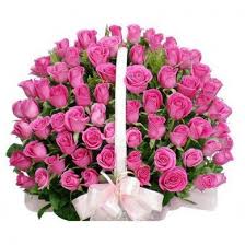 150 pink roses basket