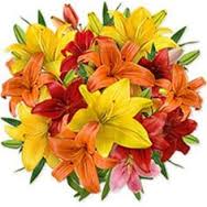 20 lilies bouquet