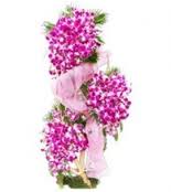 3 tier 30 orchids stand