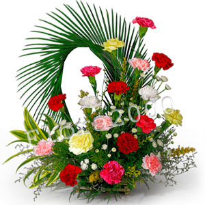 50 carnations arrangement