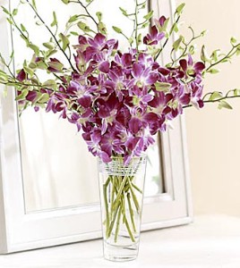 Orchids vase 