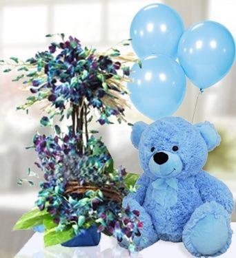 5 Air filled Balloons (NOT GAS) tied to 12 Inches BlueTeddy bear with 20 Blue orchids in 2 Tier basket
