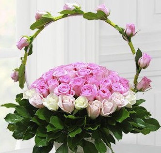 50 Pink roses edged with white roses and pink roses on handle of basket appearing in a single line