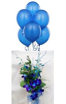 6 Air Blown Blue Balloons with 4 Blue Orchids