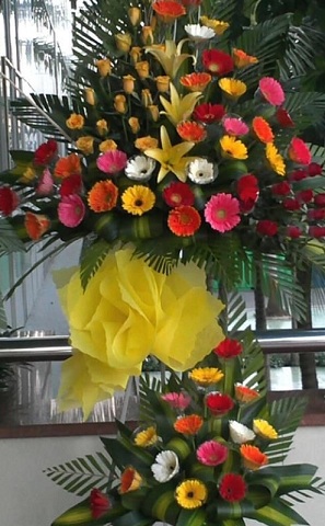 Gerberas and lilies tall arrangement 3-4 feet