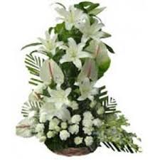 6 white lilies 10 white Anthurium basket