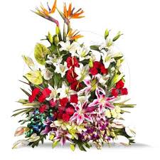 Large basket of lilies Anthurium gladioli and orchids