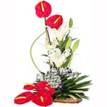 6 anthuriums and 2 lilies arragement