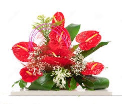 anthuriums in a basket