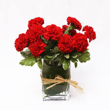 12 red carnation vase