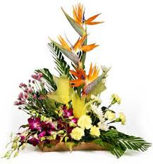 Roses orchids and bird of paradise basket