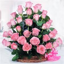50 pink roses in a basket