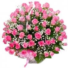 100 pink roses in a basket