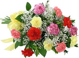 carnations mix bouquet