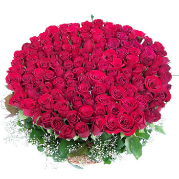 red roses in a basket