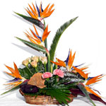 Bird of paradise and roses