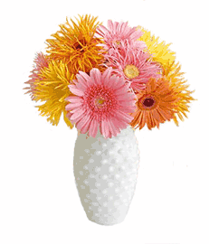 Click for larger view