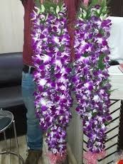 A pair of orchids garland