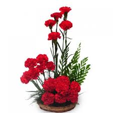 20 carnations basket