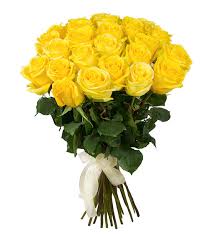 24 Yellow roses in a bouquet