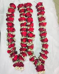 Wedding ceremony ritual traditional jaimala with fresh red roses for bride and groom