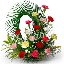 50 carnations basket