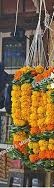 Marigold garland