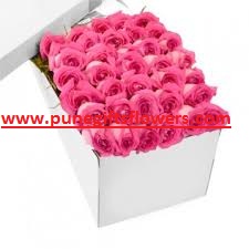 50 Valentine roses in a box