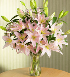 Pink lilies in a vase