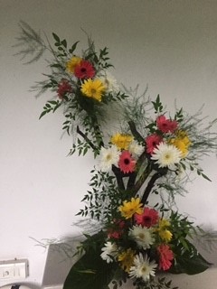 Gerberas arranged in organic wooden stand