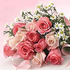 24 pink white roses bouquet