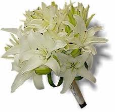 White lilies bouquet