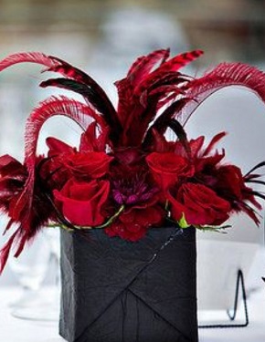 Red feathers with red roses in a black box