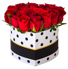 20 red Roses in a polka dot box
