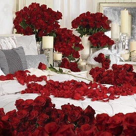 Room full of 200 red roses