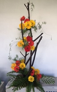 Yellow and Red Gerberas on branches of wood