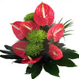 7 Anthurium basket