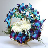 10 blue orchids 6 carnations arrangement